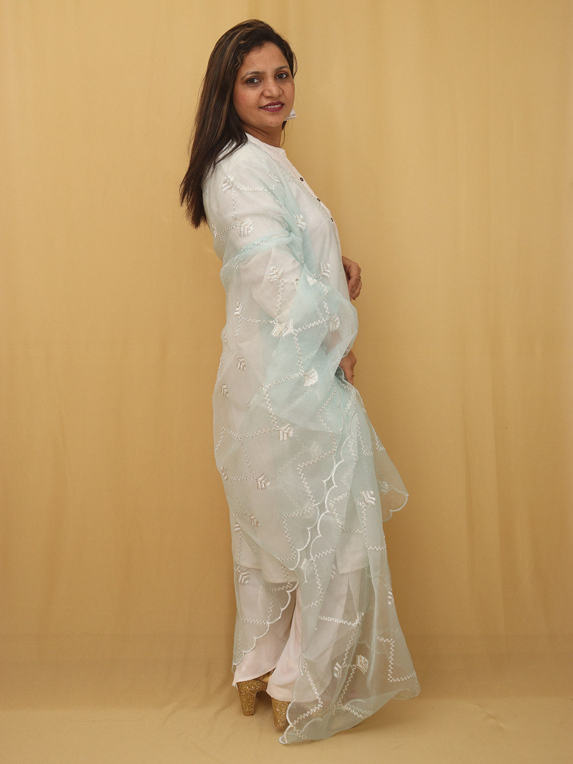 Blue Trendy Organza Sequins Work Dupatta - Luxurion World