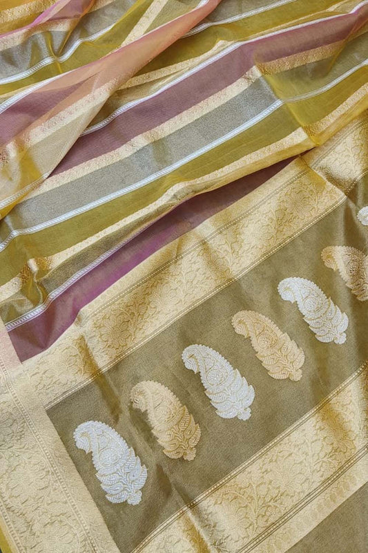 Exquisite Multicolor Banarasi Tissue Silk Saree - Luxurion World