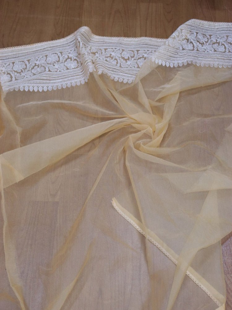 Cream Embroidered Chikankari Organza Silk Saree - Luxurion World