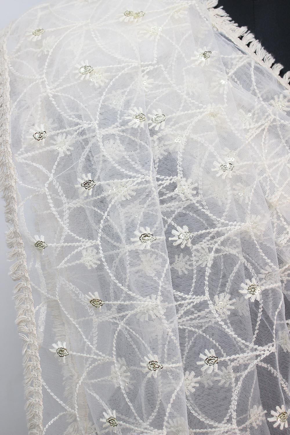 Dyeable Trendy Net Sequins Work Dupatta - Luxurion World