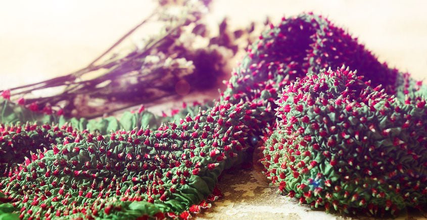 Bandhani- The Indian Tie-dye - Luxurionworld