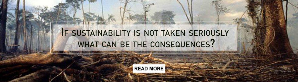 If sustainability is not taken seriously, what can be the consequences? - Luxurionworld