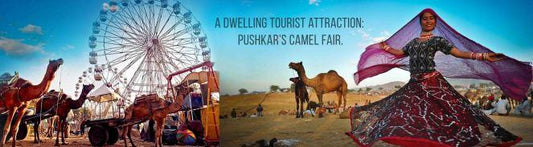 Rajasthani traditions in abundance - Camel Fair of Pushkar - Luxurionworld