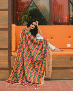 These dupattas will make you stand out from the crowd! - Luxurionworld