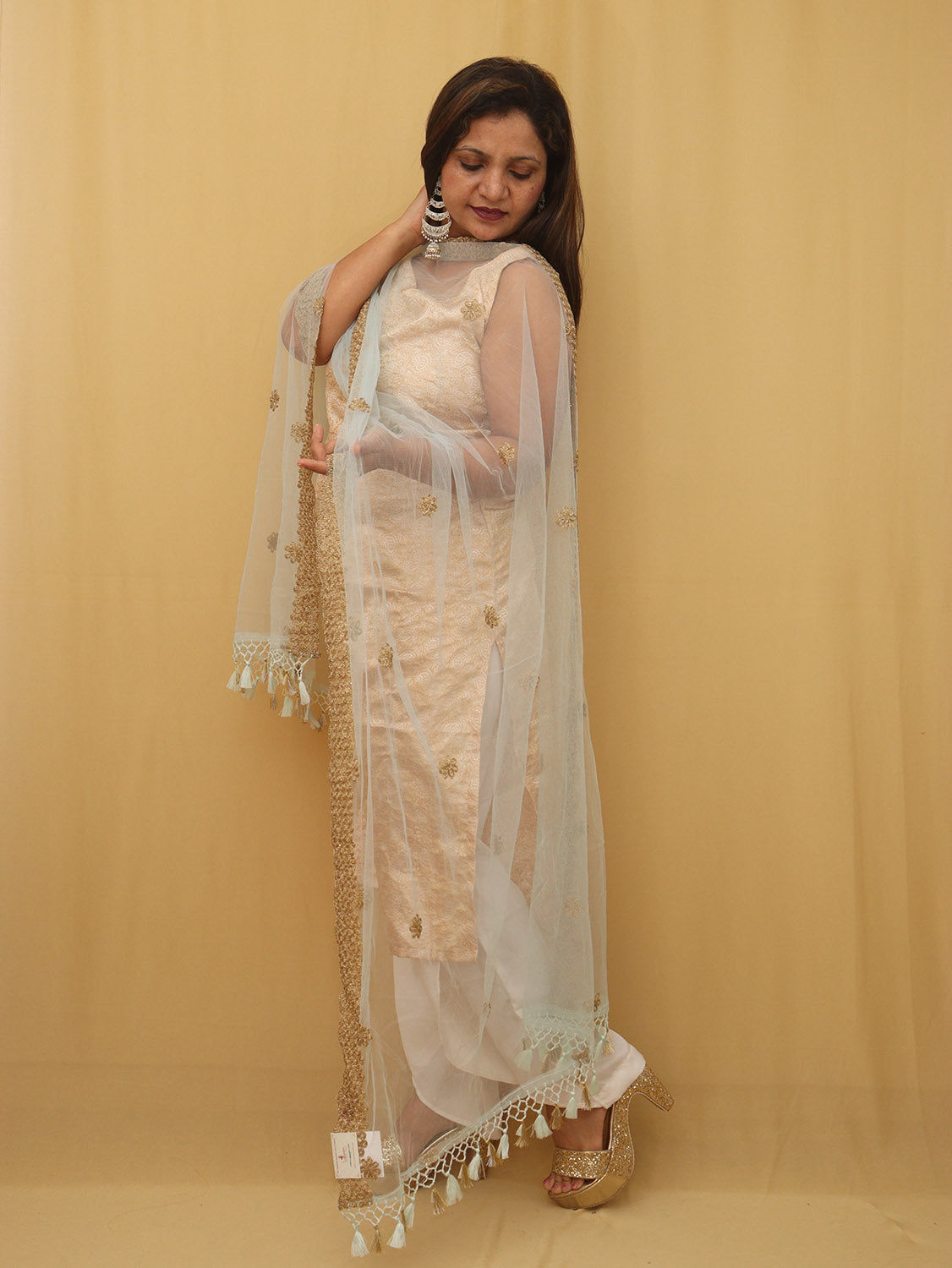 Blue Trendy Net Dupatta - Luxurion World