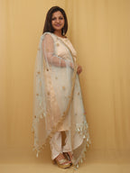 Blue Trendy Net Dupatta - Luxurion World
