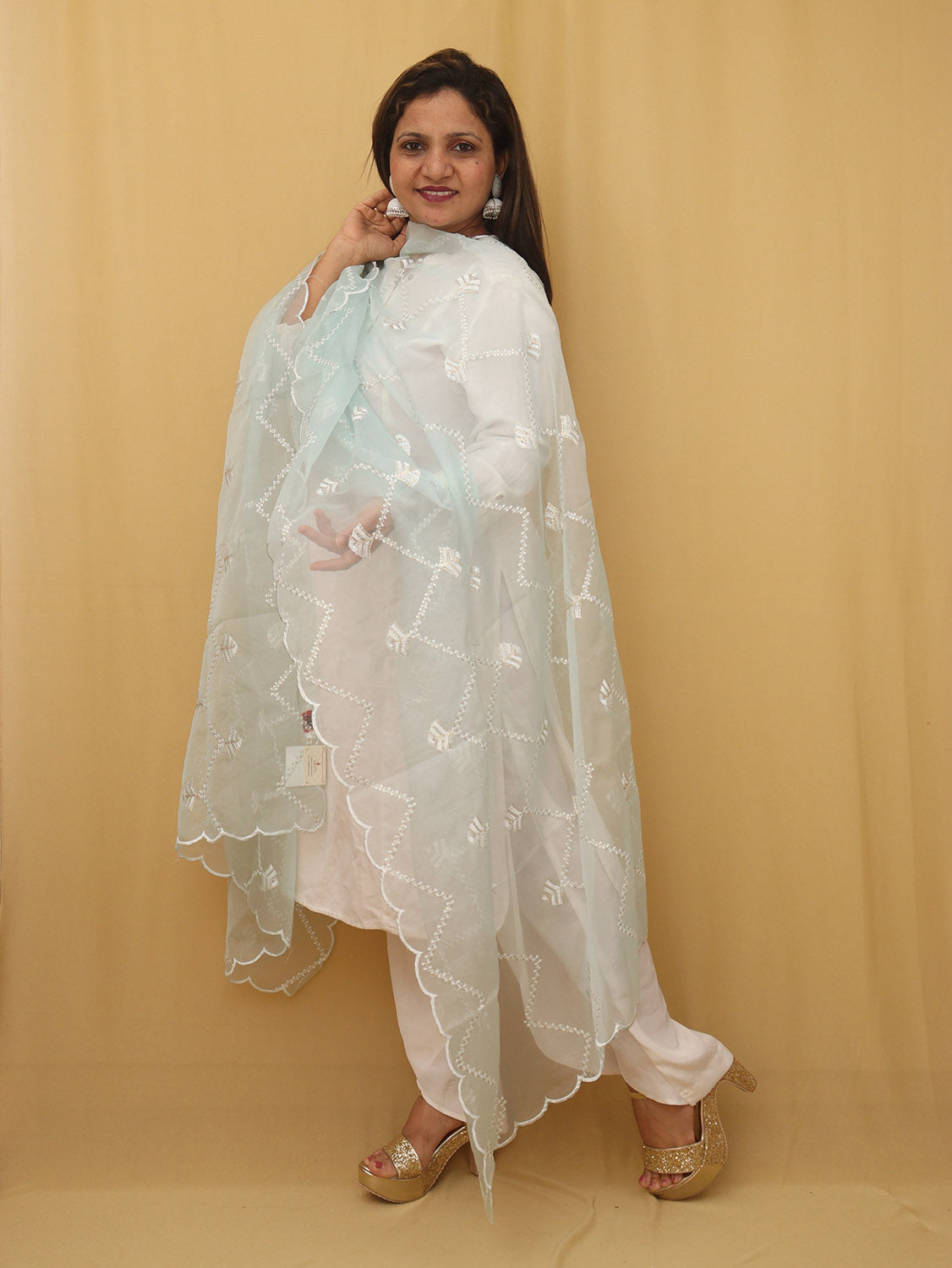 Blue Trendy Organza Sequins Work Dupatta - Luxurion World