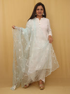 Blue Trendy Organza Sequins Work Dupatta - Luxurion World