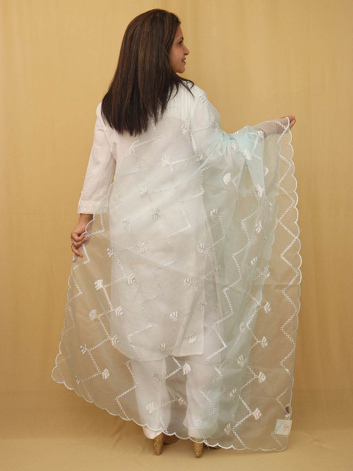 Blue Trendy Organza Sequins Work Dupatta - Luxurion World