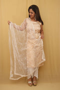 Dyeable Trendy Net Sequins Work Dupatta - Luxurion World
