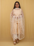 Dyeable Trendy Net Sequins Work Dupatta - Luxurion World