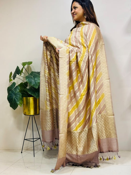 Multicolor Banarasi Handloom Pure Moonga Silk Brush Dye Dupatta