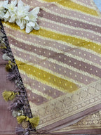 Multicolor Banarasi Handloom Pure Moonga Silk Brush Dye Dupatta