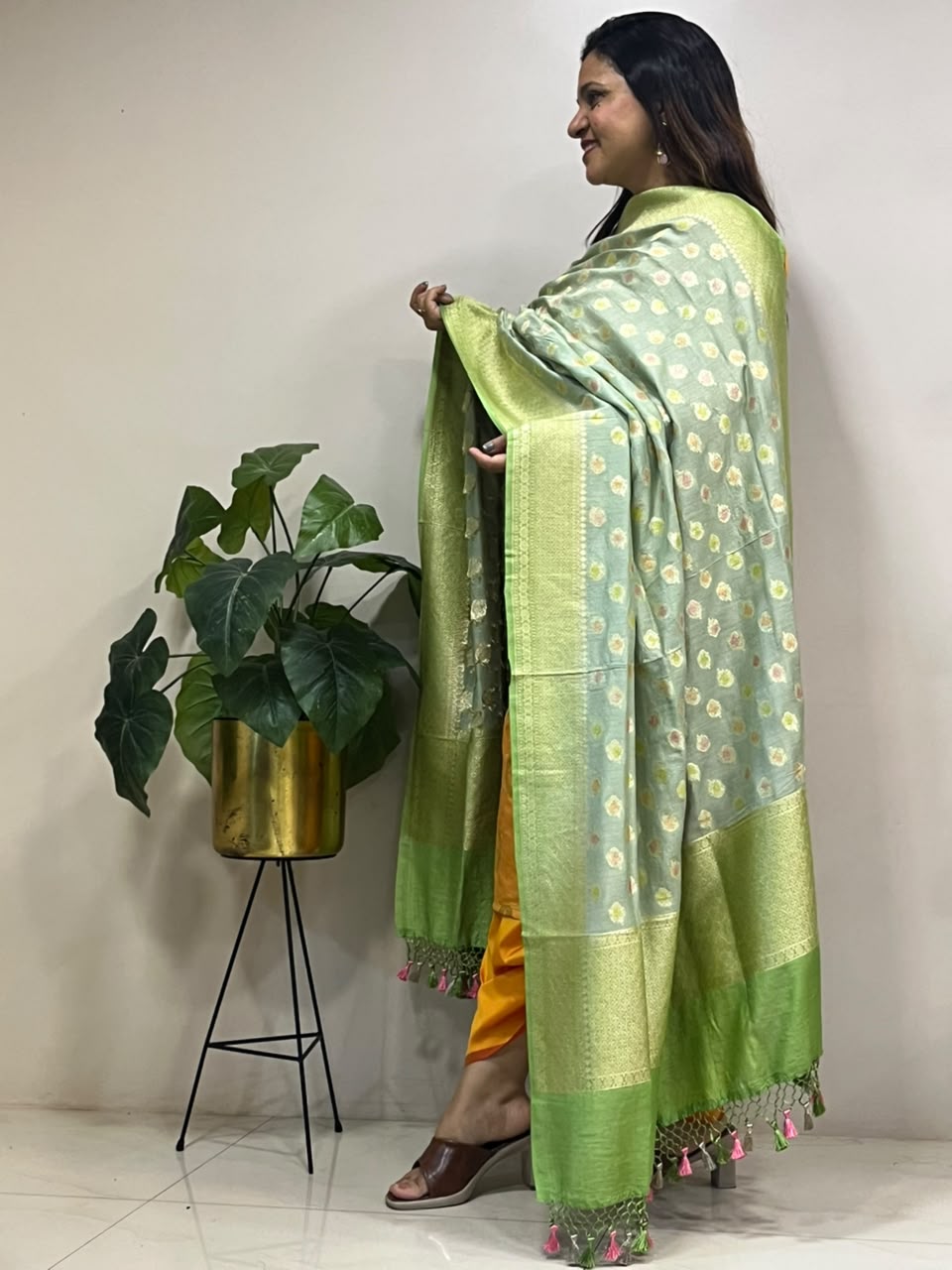 Green Banarasi Handloom Pure Moonga Silk Brush Dye Dupatta