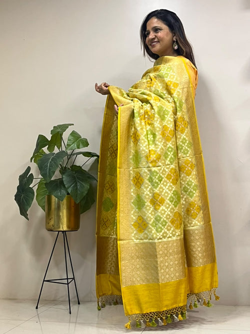 Yellow Banarasi Handloom Pure Moonga Silk Brush Dye Dupatta