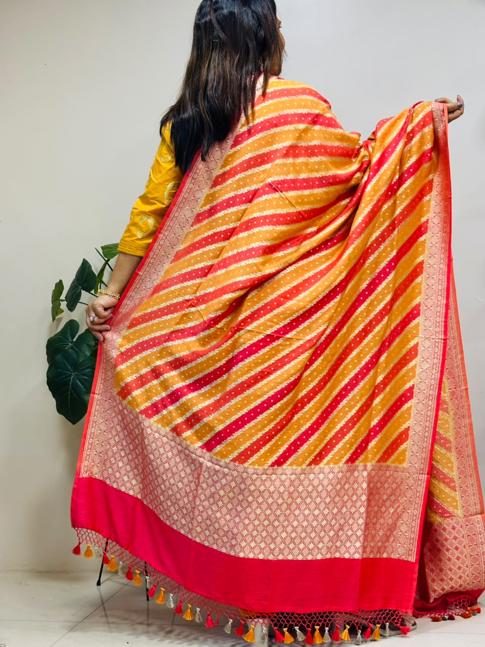 Multicolor Banarasi Handloom Pure Moonga Silk Brush Dye Dupatta