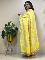 Yellow Banarasi Handloom Pure Moonga Silk Brush Dye Dupatta