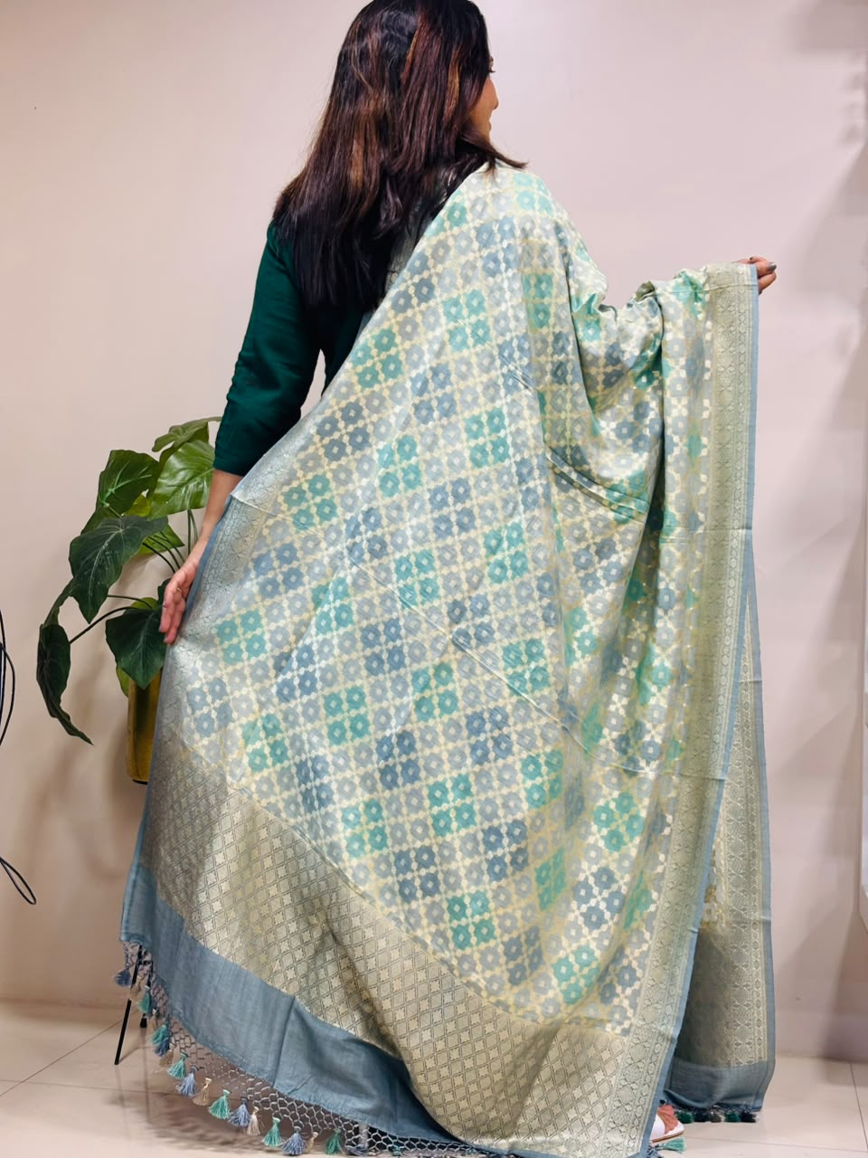 Multicolor Banarasi Handloom Pure Moonga Silk Brush Dye Dupatta