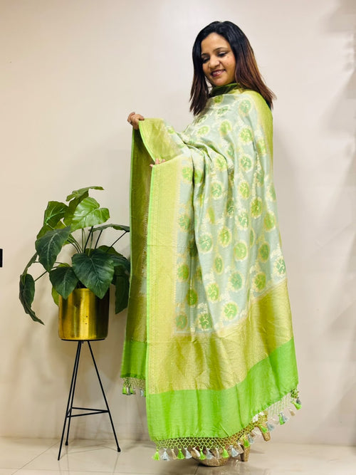 Green Banarasi Handloom Pure Moonga Silk Brush Dye Dupatta