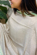 Grey Banarasi Handloom Pure Moonga Silk Brush Dye Dupatta