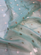 Blue Trendy Applique Work Embroidered Tissue Checks Design Saree - Luxurion World