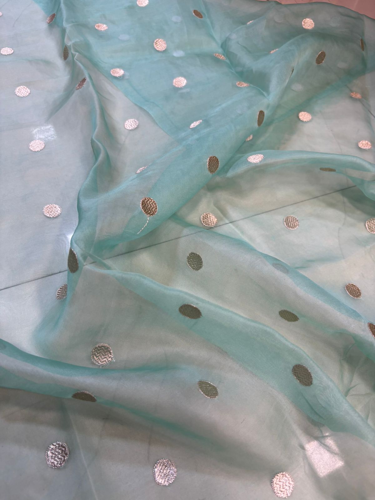 Blue Trendy Applique Work Embroidered Tissue Checks Design Saree - Luxurion World