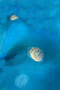 Blue Handloom Banarasi Kora Silk Chand Booti Design Fabric ( 1 Mtr )