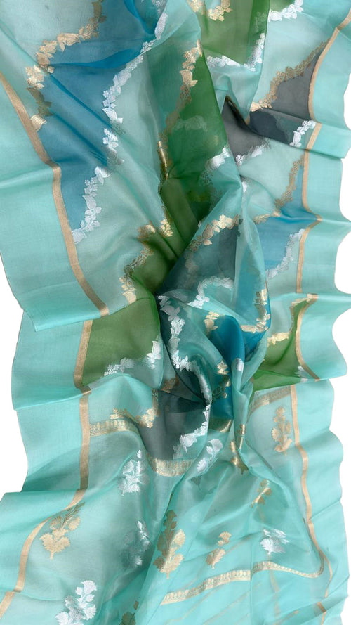 Blue Handloom Banarasi Pure Kora Organza Silk Sona Roopa Flower Design Saree