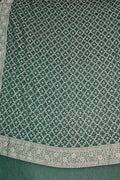 Green Pure Georgette Banarasi Brush Dye Dupatta PD1B1AL426090402