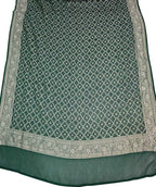 Green Pure Georgette Banarasi Brush Dye Dupatta PD1B1AL426090402