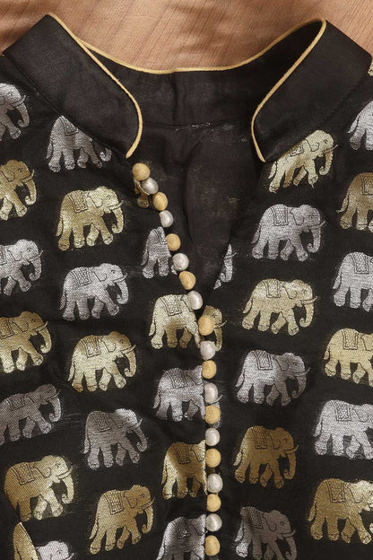 Black Banarasi Silk Potli Botton Padded Sona Roopa Elephant Design Blouse