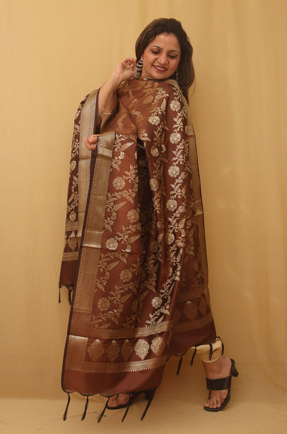 Brown Banarasi Silk Dupatta - Luxurion World