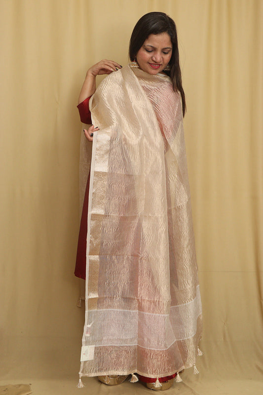 Dyeable Banarasi Handloom Tissue Silk Dupatta - Luxurion World