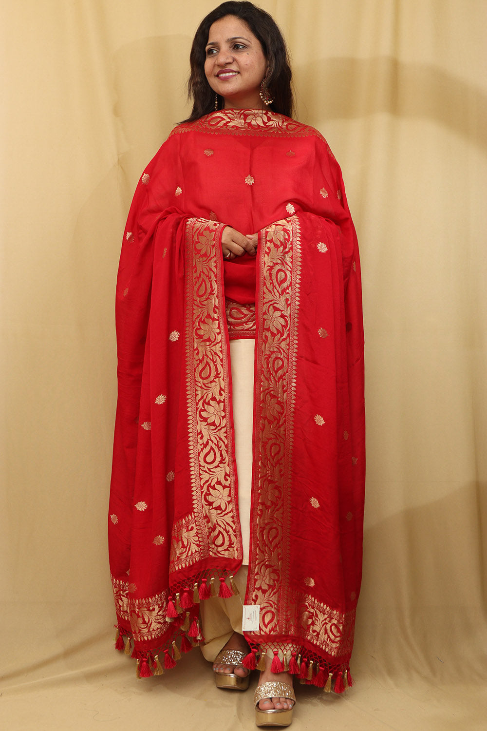 Handloom Banarasi Georgette Dupatta in Red - Luxurion World