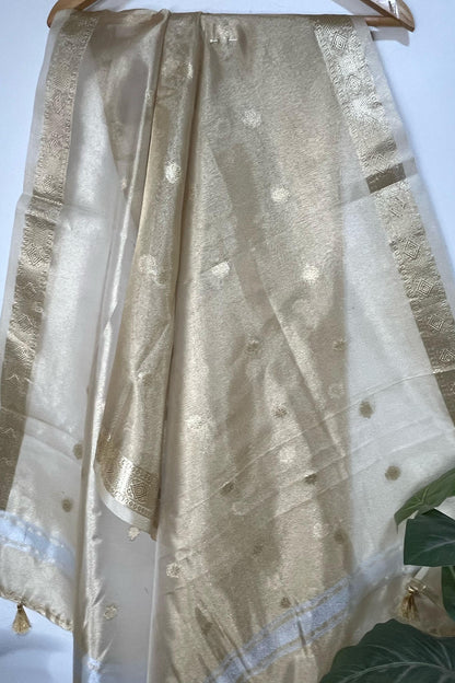 Stunning Dyeable Banarasi Tissue Silk Polka Dot Dupatta - Luxurion World