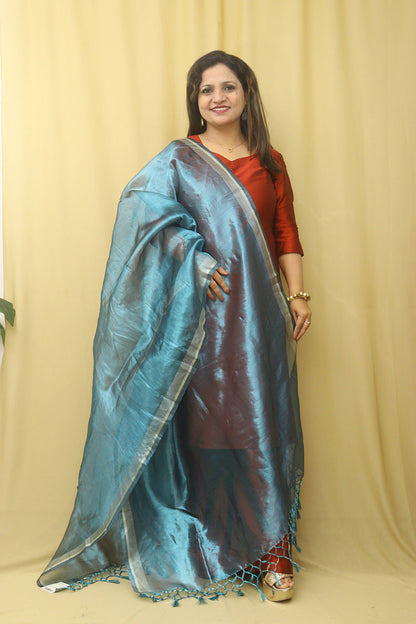 Blue Banarasi Plain Tissue Dupatta - Luxurion World