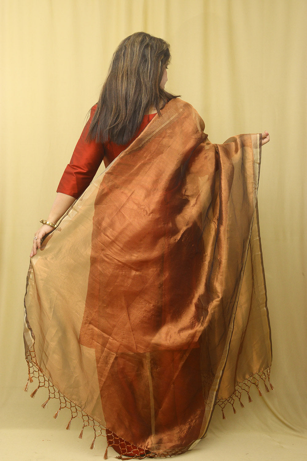 Brown Banarasi Plain Tissue Dupatta - Luxurion World