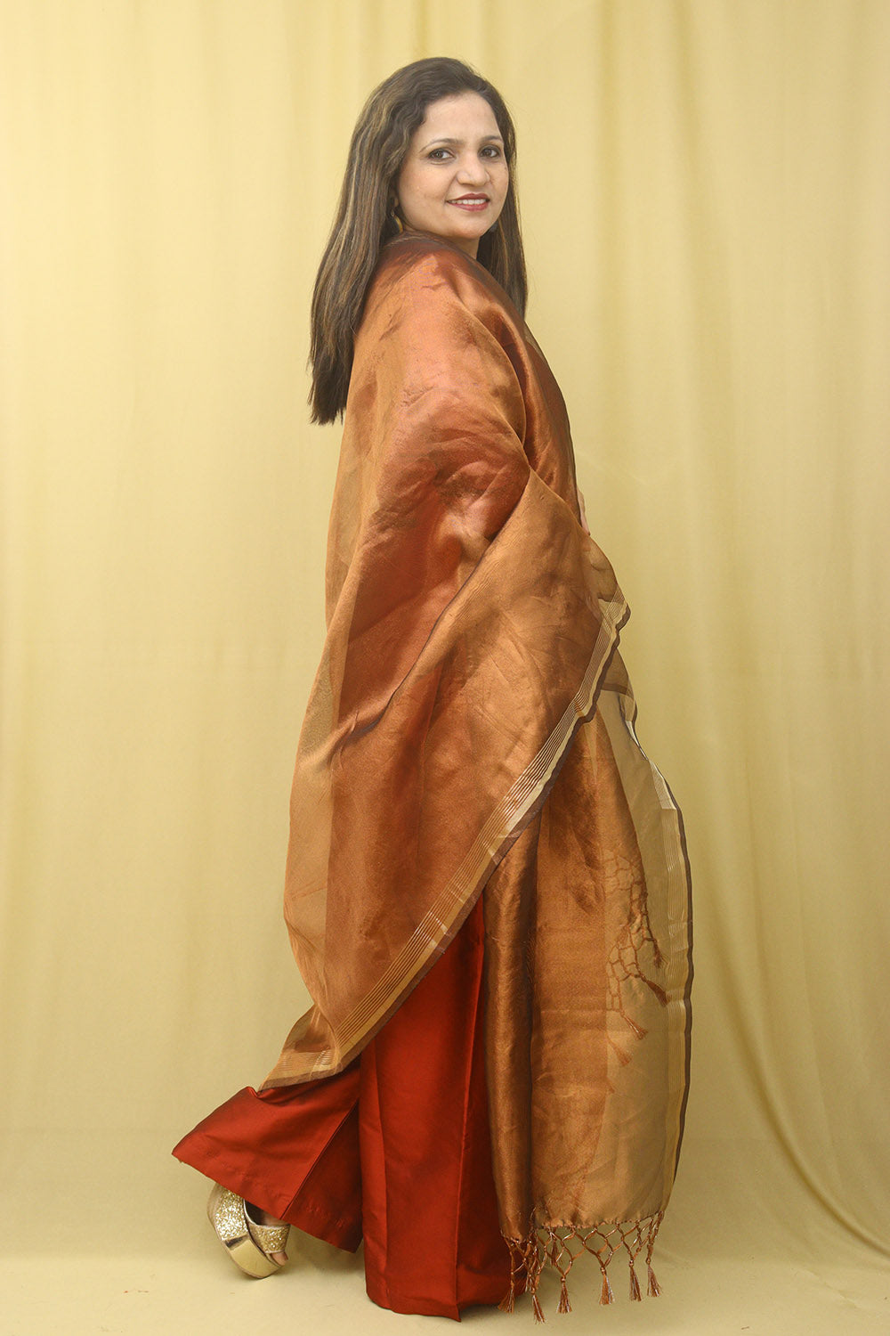 Brown Banarasi Plain Tissue Dupatta - Luxurion World