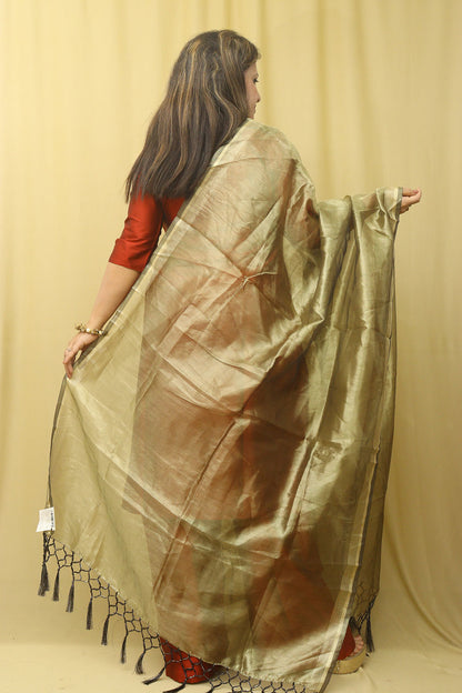 Golden Banarasi Plain Tissue Dupatta - Luxurion World