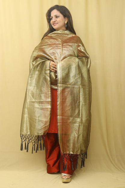 Golden Banarasi Plain Tissue Dupatta - Luxurion World