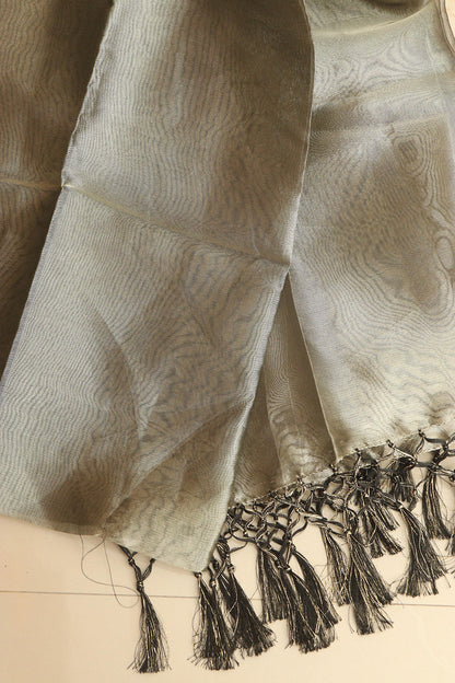 Soft and Elegant Pastel Banarasi Tissue Dupatta - Luxurion World