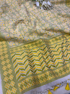 Pastel Banarasi Cotton Patola Design Dupatta - Luxurion World- Crafted Heirlooms