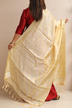 Soft and Elegant Pastel Banarasi Silk Dupatta - Luxurion World