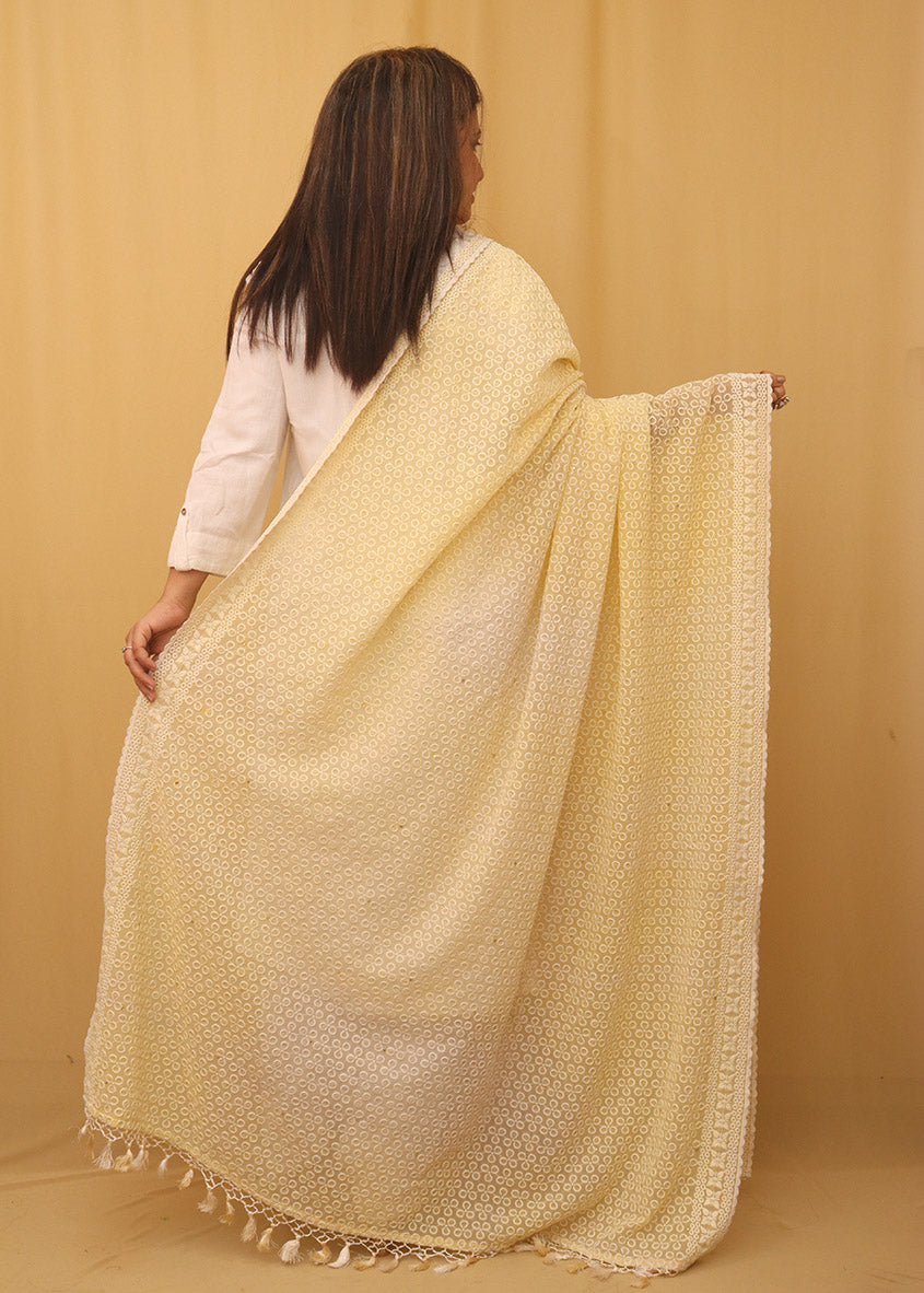 Yellow Embroidered Chikankari Georgette Dupatta - Luxurion World