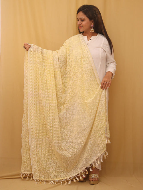 Yellow Embroidered Chikankari Georgette Dupatta - Luxurion World
