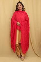 Stylish Pink Embroidered Georgette Dupatta - Luxurion World