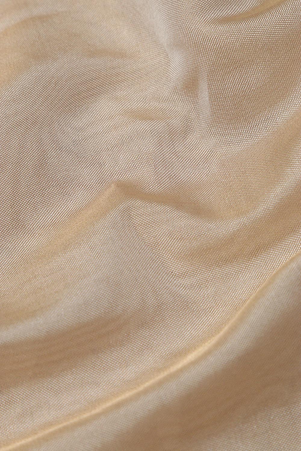 Dyeable Banarasi Tissue Katan Silk Fabric ( 1 Mtr) - Luxurion World