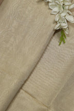 Dyeable Banarasi Tissue Katan Silk Fabric (1 Mtr) - Luxurion World