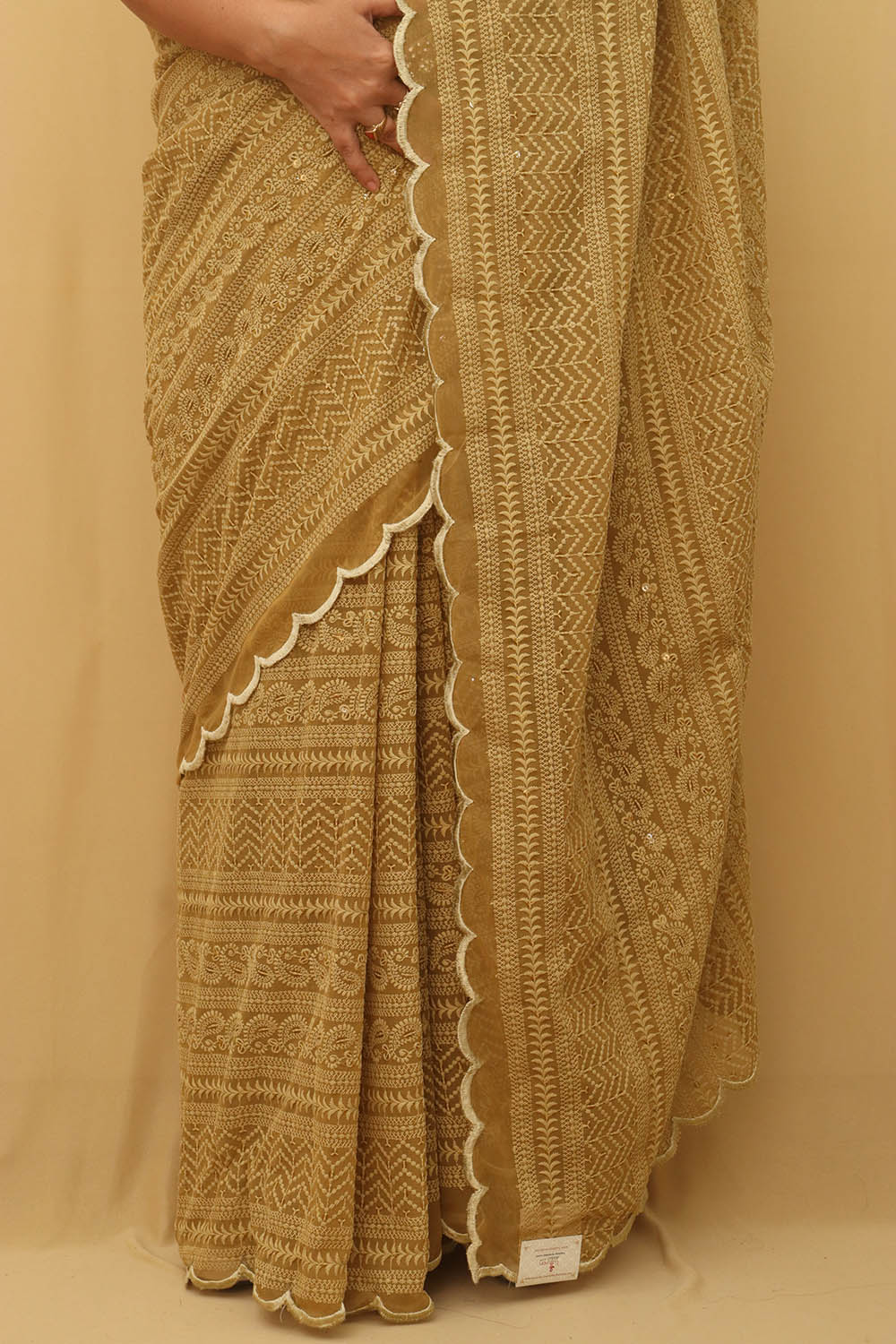 Pastel Embroidered Chikankari Georgette Sequins Work Saree - Luxurion World