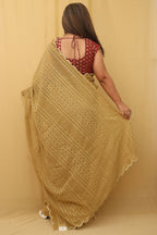 Pastel Embroidered Chikankari Georgette Sequins Work Saree - Luxurion World